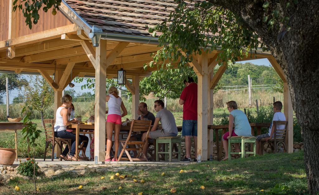 Edenkert Vendeghazak Hotel Pécsvárad Buitenkant foto