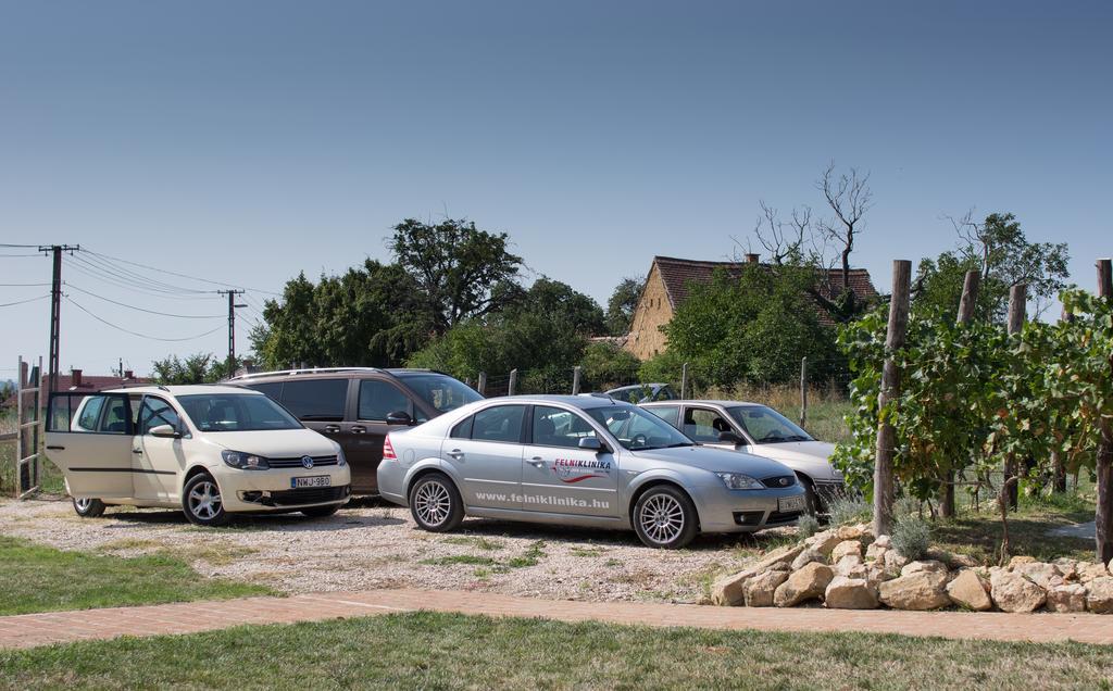 Edenkert Vendeghazak Hotel Pécsvárad Buitenkant foto