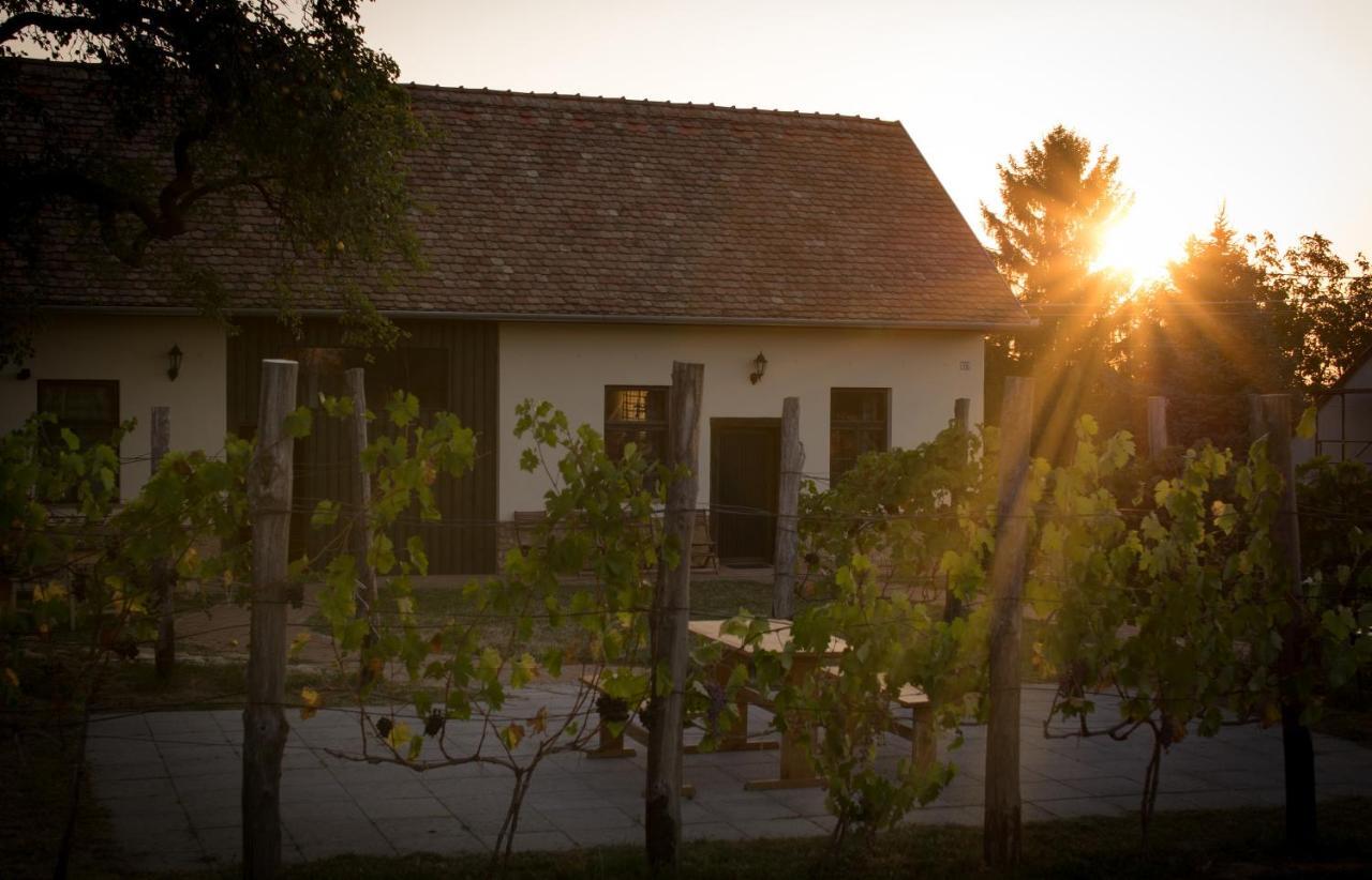 Edenkert Vendeghazak Hotel Pécsvárad Buitenkant foto